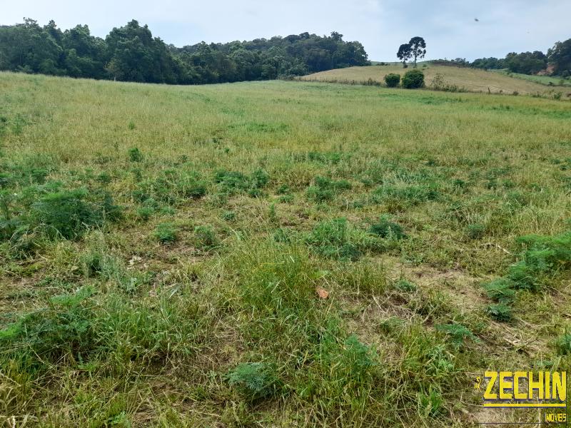 ÁREA DE TERRAS em Interior, Nova Prata - RS