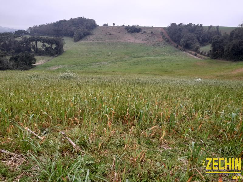 ÁREA DE TERRAS em Interior - Nova Bassano - RS